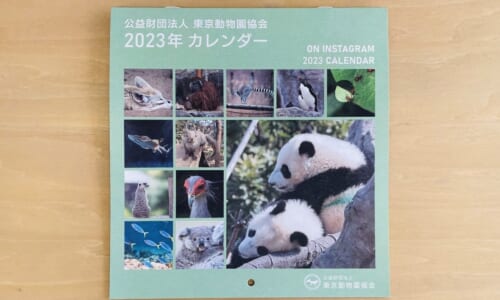 2023年東京動物園協会様カレンダー
